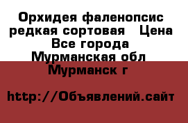 Орхидея фаленопсис редкая сортовая › Цена ­ 800 - Все города  »    . Мурманская обл.,Мурманск г.